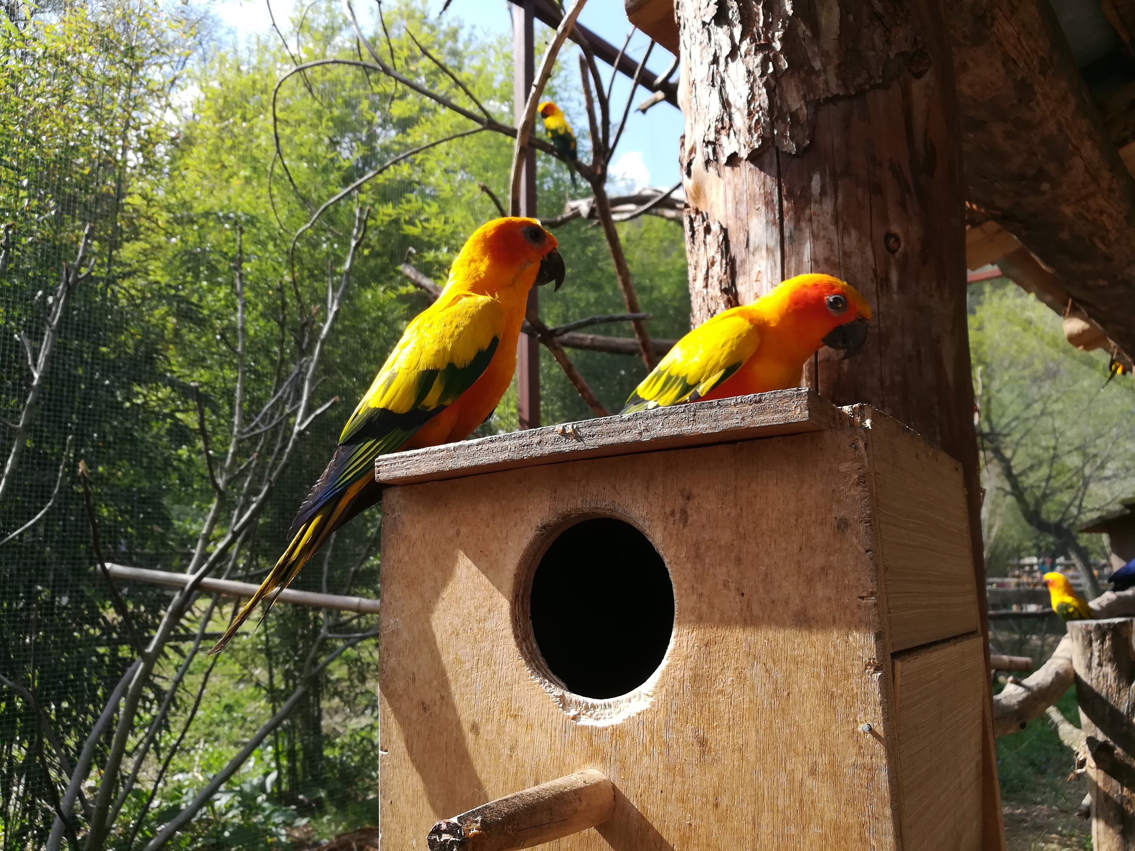 Photo n° 23 de l'avis de Sarah.L fait le 21/04/2018 à 18:44