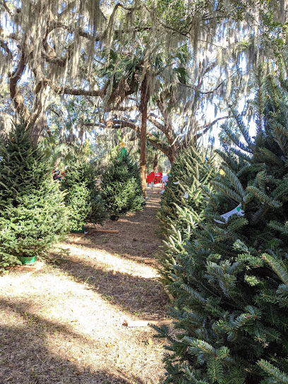 Webster's Christmas Tree Farm