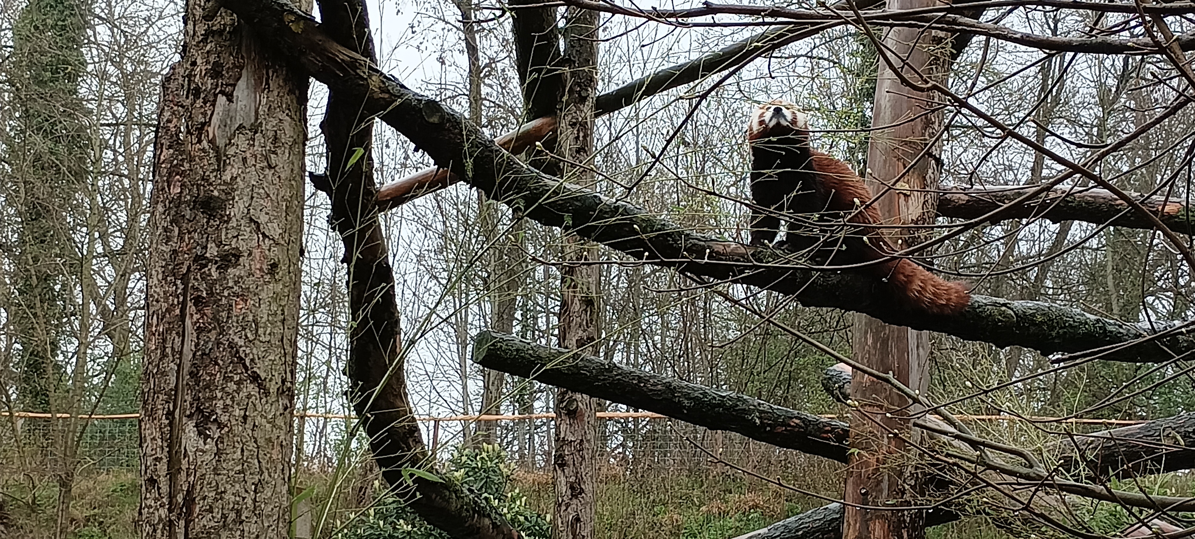 Photo n° 3 de l'avis de Antoine.i fait le 03/04/2023 à 08:17