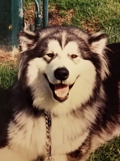 Explore tattoo ideas inner arm, creative tattoo ideas in Hayward, available at Simms Ink