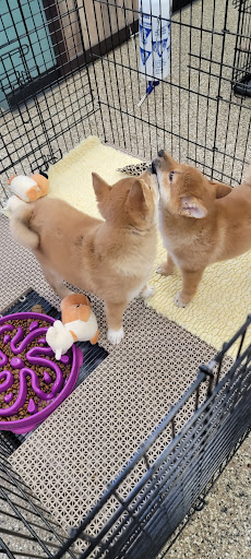 Pet Supply Store «Pet Ranch», reviews and photos, 3823 E 120th Ave, Denver, CO 80233, USA