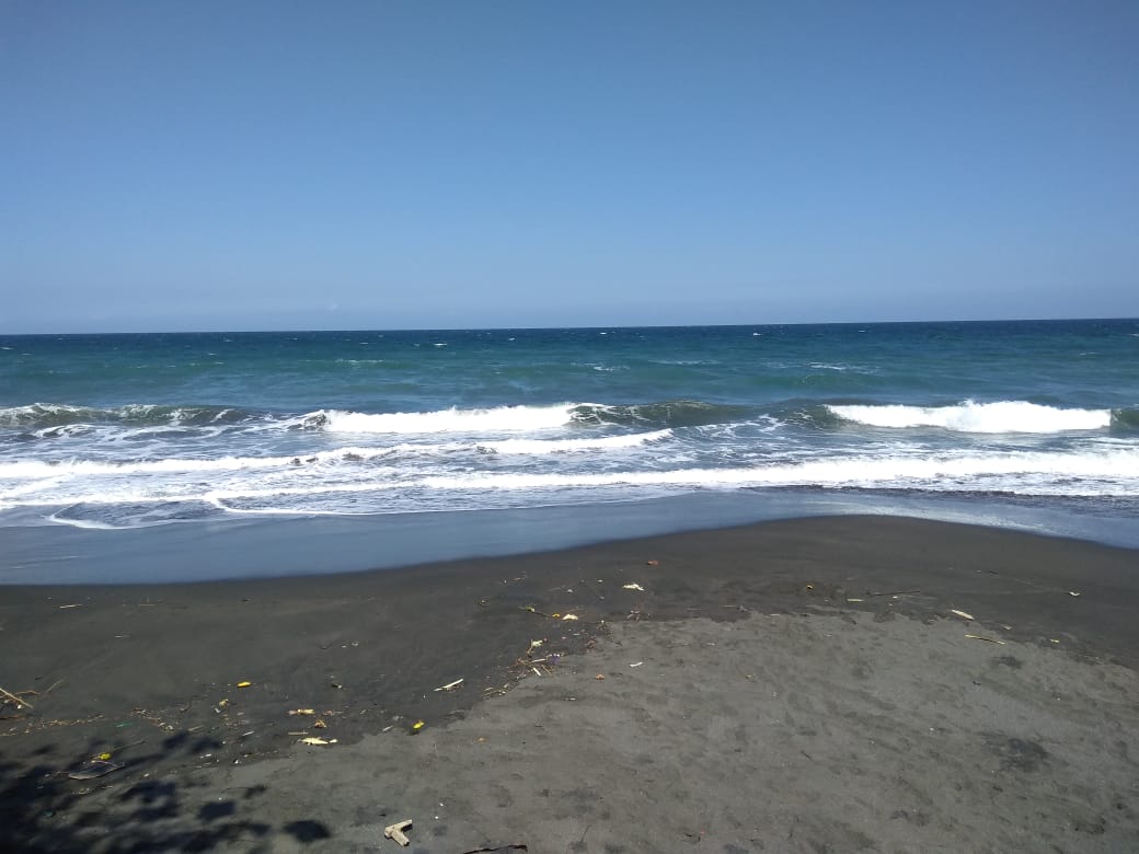 Fotografija Dlod Low Beach z visok stopnjo čistoče