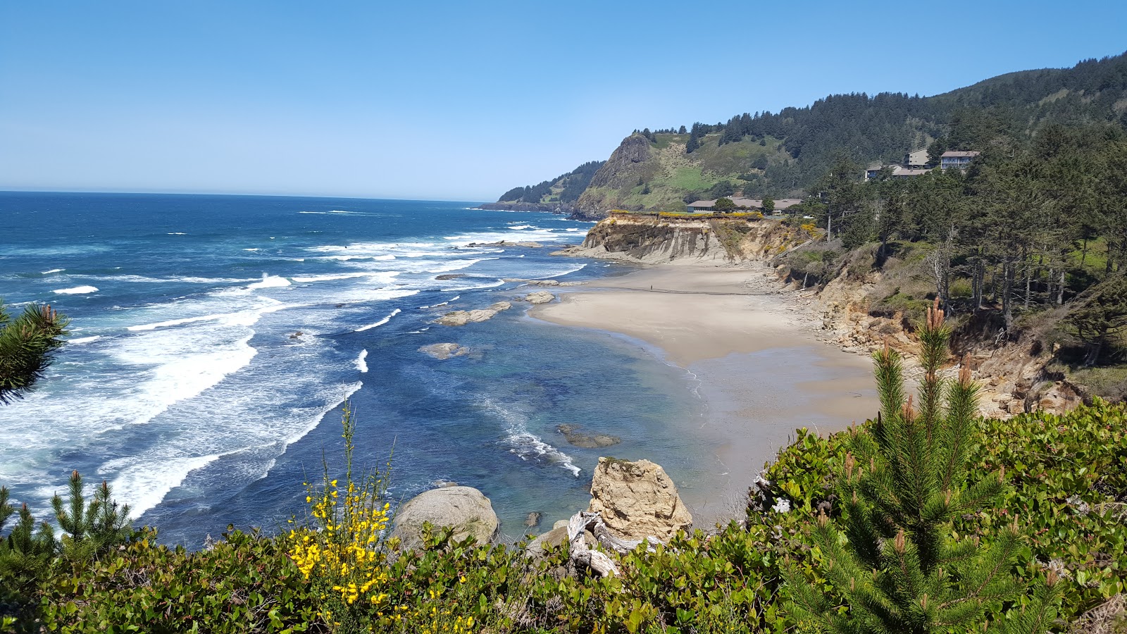 Photo of Otter Crest Beach with spacious bay