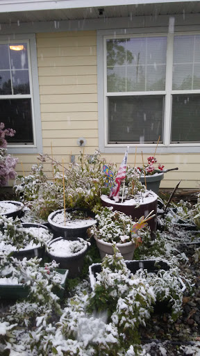 Bridger Apartments II