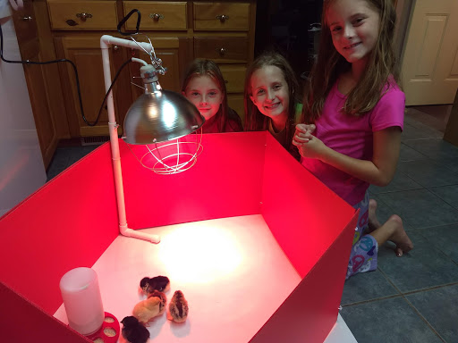 Home Improvement Store «Tractor Supply Co.», reviews and photos, 2091 E Main St, Spartanburg, SC 29307, USA