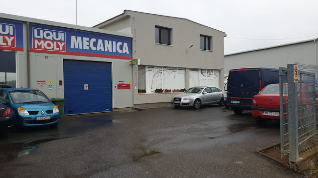 Comentarii opinii despre Gival Service Auto Baia Mare.Tinichigerie Auto,Vopsitorie Auto,Electrica Auto,Revizie,Diagnoza