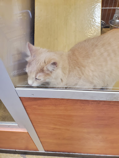 Pet Supply Store «PetSmart», reviews and photos, 4045 Dowlen Rd, Beaumont, TX 77706, USA