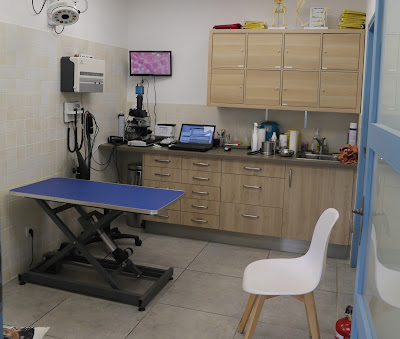 Clinique Vétérinaire VetArtis à Cogolin