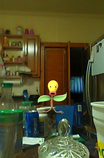 Discount Store «Dollar General», reviews and photos, 3958 PA-257, Seneca, PA 16346, USA