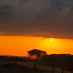 Photo n°3 de l'avis de laura.n fait le 06/08/2022 à 12:27 sur le  Spiaggia Libera Castel Porziano - Cancello 2 à Rome