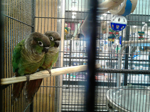 Pet Store «Miles of Exotics», reviews and photos, 8350 N Broadway, Kansas City, MO 64118, USA