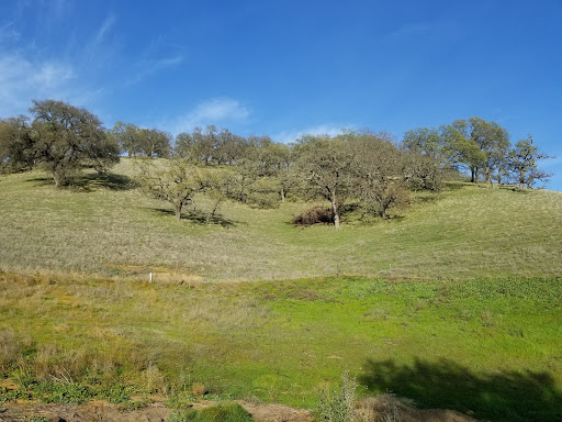 Golf Course «Rancho Solano Golf Course», reviews and photos, 3250 Rancho Solano Pkwy, Fairfield, CA 94534, USA