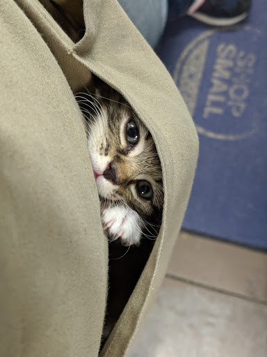 Pet Supply Store «Unleashed», reviews and photos, 1319 Military Cutoff Rd, Wilmington, NC 28405, USA