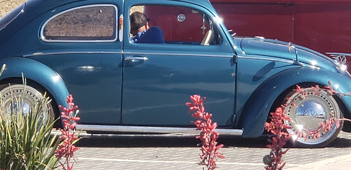 Department Store «Walmart Supercenter», reviews and photos, 235 E Dorset Dr, Dixon, CA 95620, USA