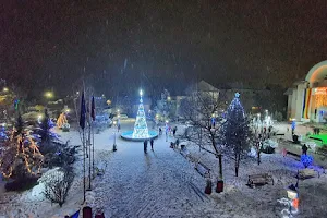 Primăria Snagov image