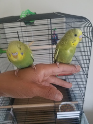 Pet Supply Store «PetSmart», reviews and photos, 7663 Arundel Mills Blvd, Hanover, MD 21076, USA