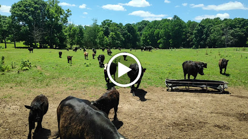 Farm «Warbington Farms (U-Pick Strawberries)», reviews and photos, 5555 Crow Rd, Cumming, GA 30041, USA