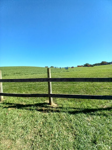 Farm «Clarks Elioak Farm LLC», reviews and photos, 10500 Clarksville Pike, Ellicott City, MD 21042, USA