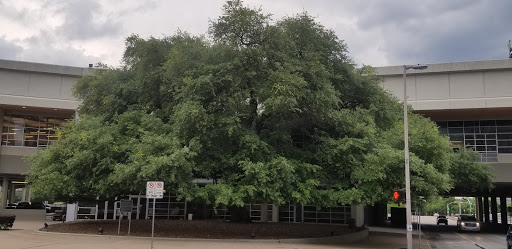 Performing Arts Theater «The Hobby Center for the Performing Arts», reviews and photos, 800 Bagby St, Houston, TX 77002, USA