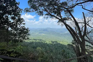 Gunung Panti Recreational Forest image
