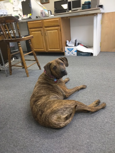 Computer Service «Greater Cincinnati Computer», reviews and photos, 7024 Plainfield Rd, Cincinnati, OH 45236, USA