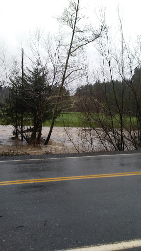 Golf Course «Cedar Bend Golf Course», reviews and photos, 34391 Cedar Valley Dr, Gold Beach, OR 97444, USA