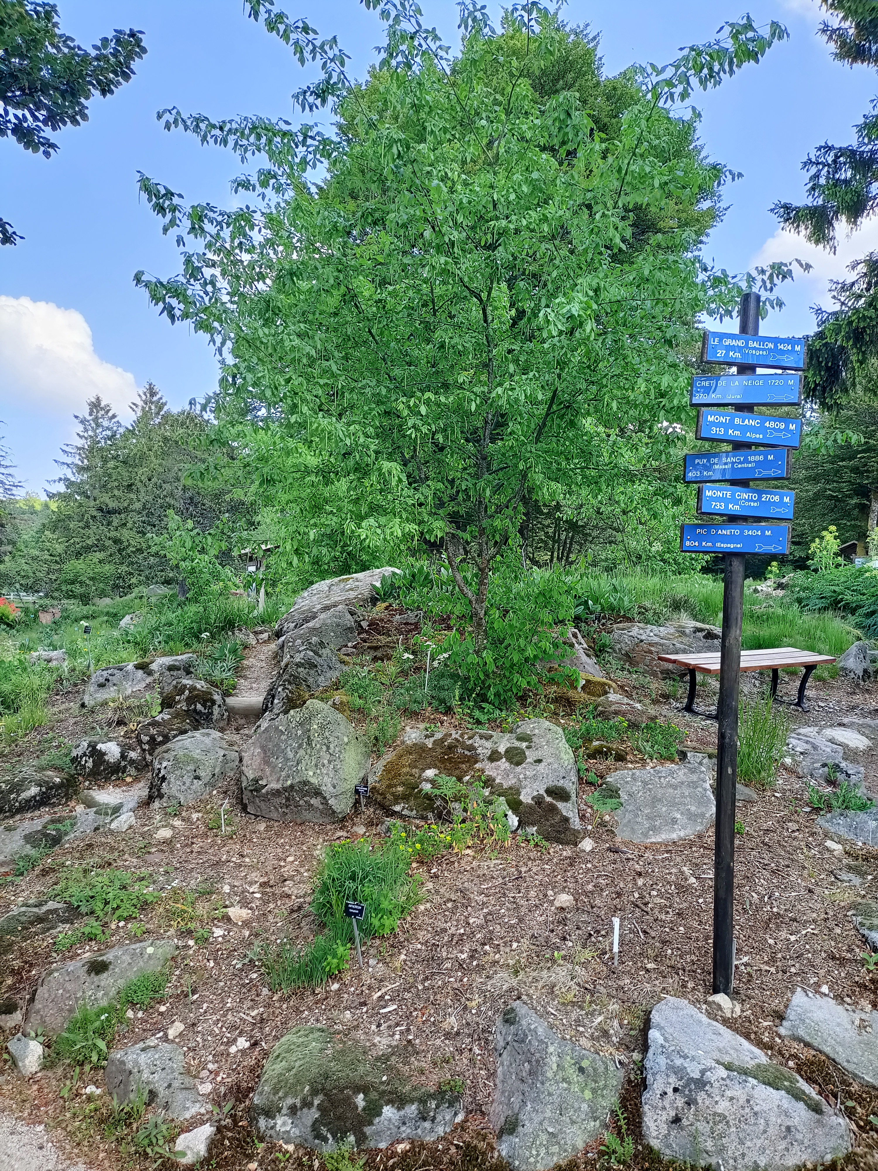 Photo n° 3 de l'avis de Agnès.e fait le 23/06/2023 à 18:04