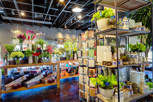 Florist «Dr. Delphinium Designs & Events», reviews and photos, 5806 W Lovers Ln, Dallas, TX 75225, USA