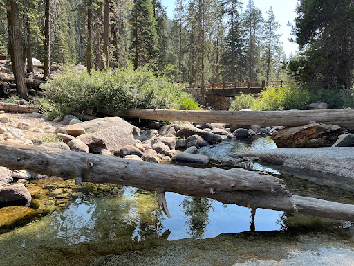 Lodgepole Campground image