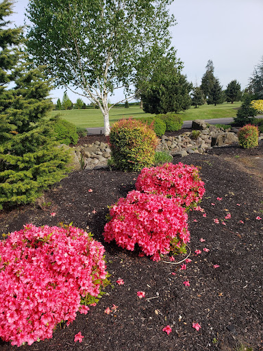 Country Club «Shadow Hills Country Club», reviews and photos, 92512 River Rd, Junction City, OR 97448, USA