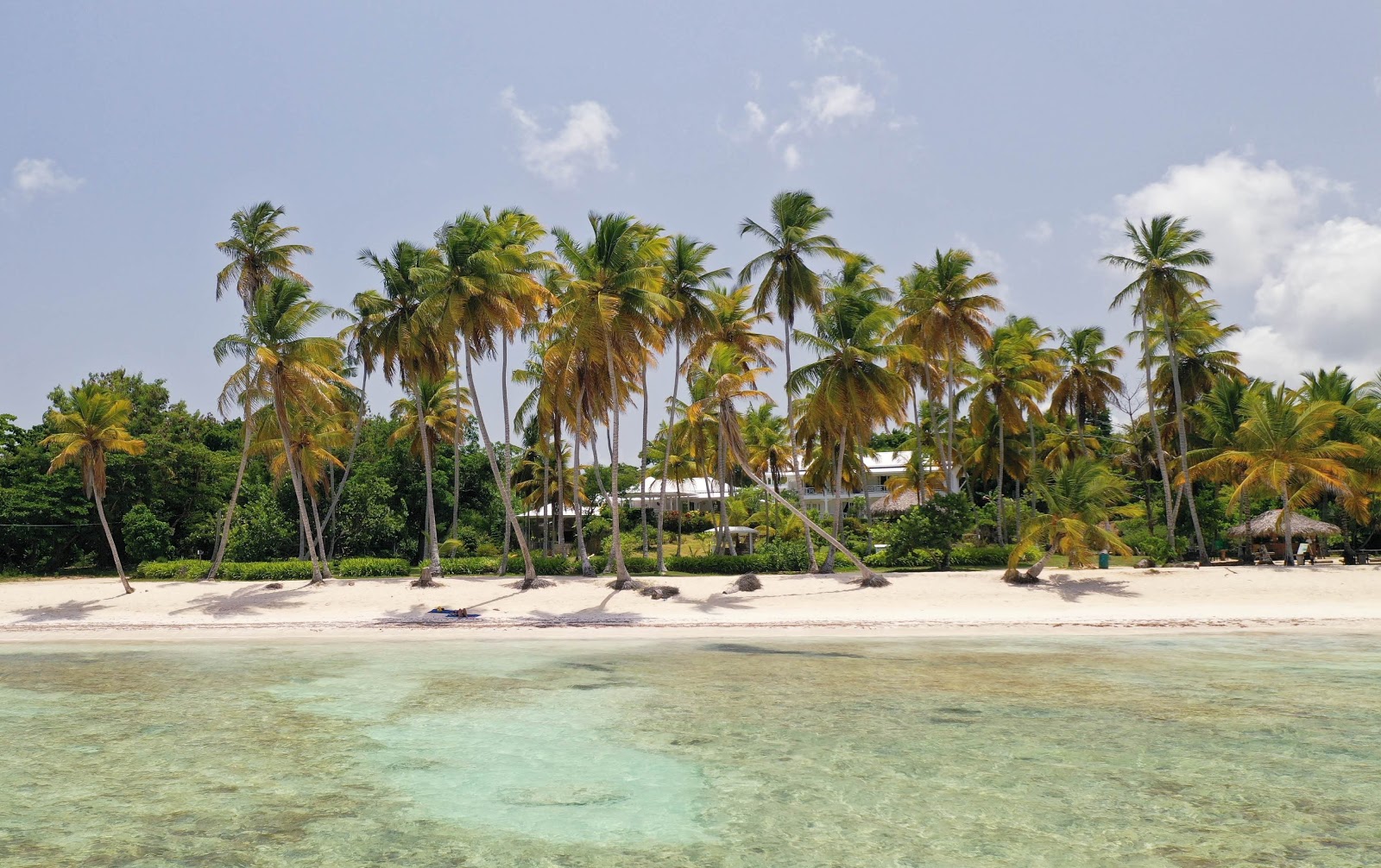 Foto af Las Galeras Strand faciliteter område