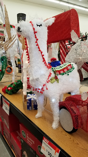 Discount Store «Big Lots», reviews and photos, 775 S Orange Blossom Trail, Apopka, FL 32703, USA