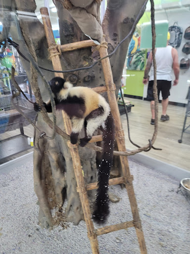 Pet Store «Incredible Pets Inc», reviews and photos, 2255 N Wickham Rd # 102, Melbourne, FL 32935, USA