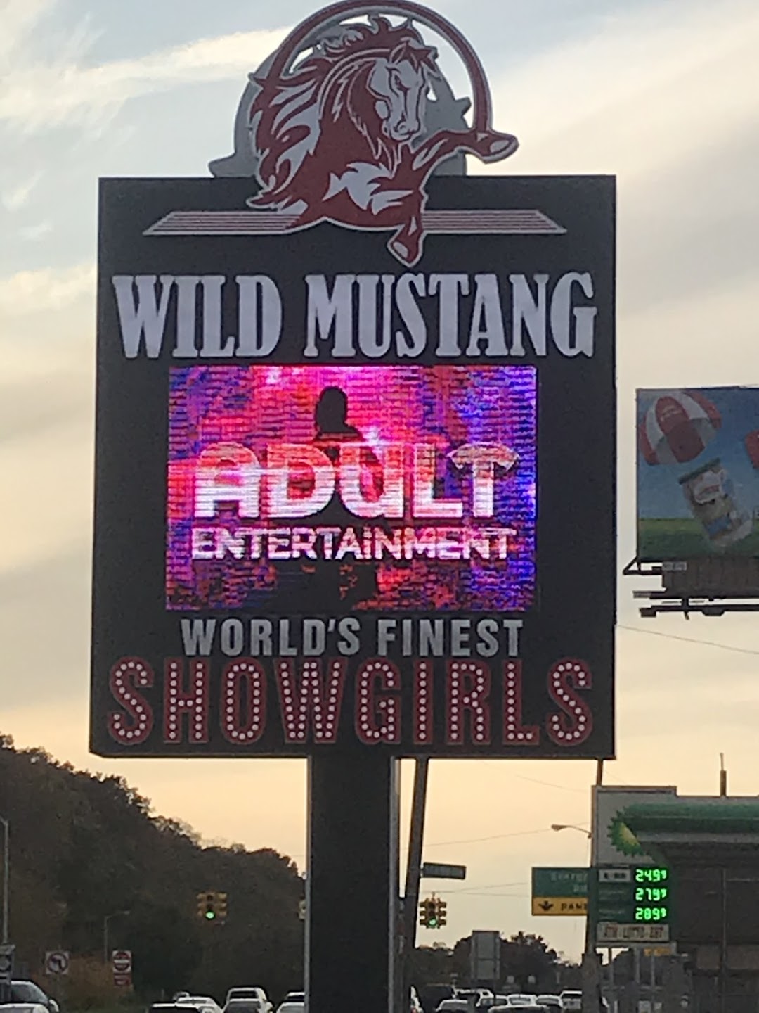 Wild Mustang Gentlemens Club