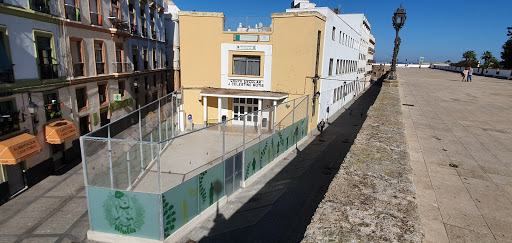 CEIP Celestino Mutis, Escuela en Cádiz,Cádiz
