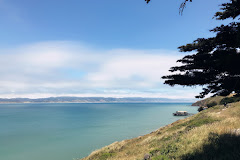 Elephant Seal Overlook