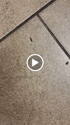 Health Club «XSport Fitness», reviews and photos, 222 Commons Dr, Chicago Ridge, IL 60415, USA