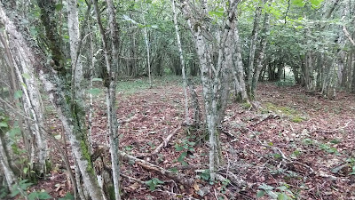 Puy Besace à Ceyssat