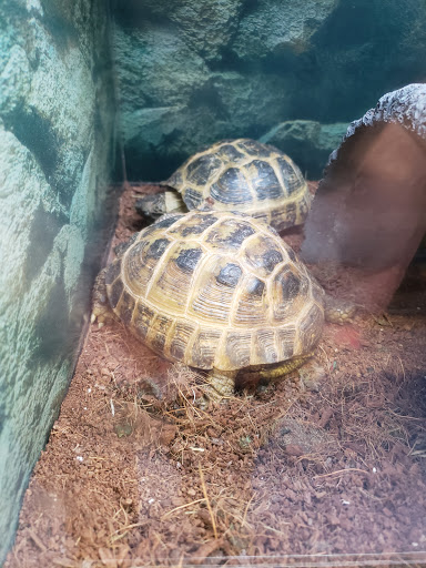 Pet Supply Store «Petco Animal Supplies», reviews and photos, 891 NE D St, Grants Pass, OR 97526, USA