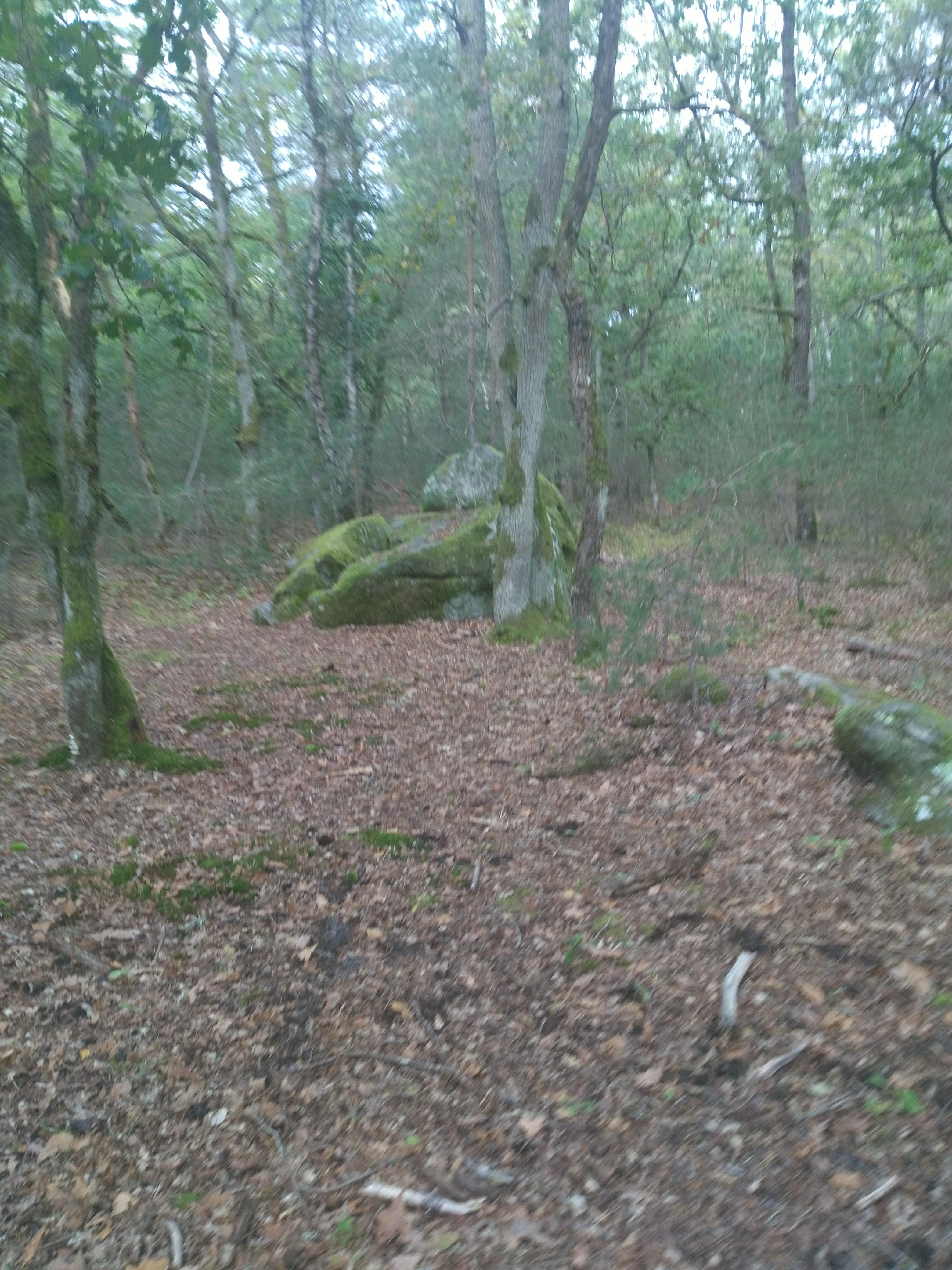 Photo n° 2 de l'avis de Dala.d fait le 14/10/2019 à 05:43