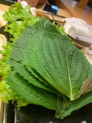 Top 20 gogi cửa hàng Huyện Krông Buk Đắk Lắk 2022