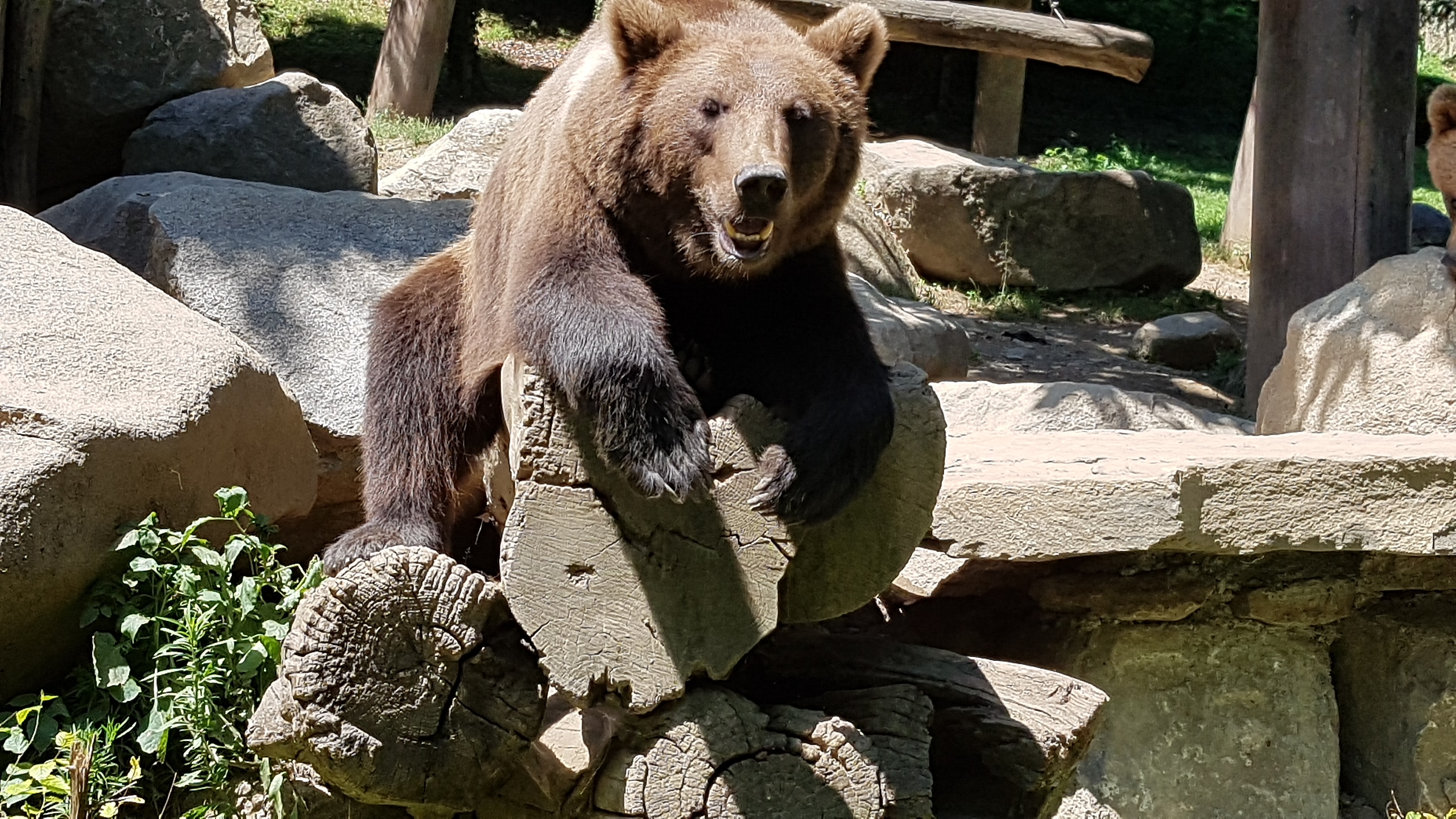 Photo n° 3 de l'avis de Ody. fait le 20/08/2019 à 17:58