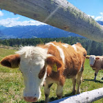 Photo n°1 de l'avis de Franca.a fait le 05/07/2018 à 15:17 sur le  Malghette di Anterivo à Altrei