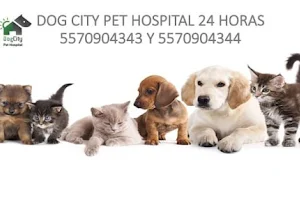 PET DOG CITY HOSPITAL image