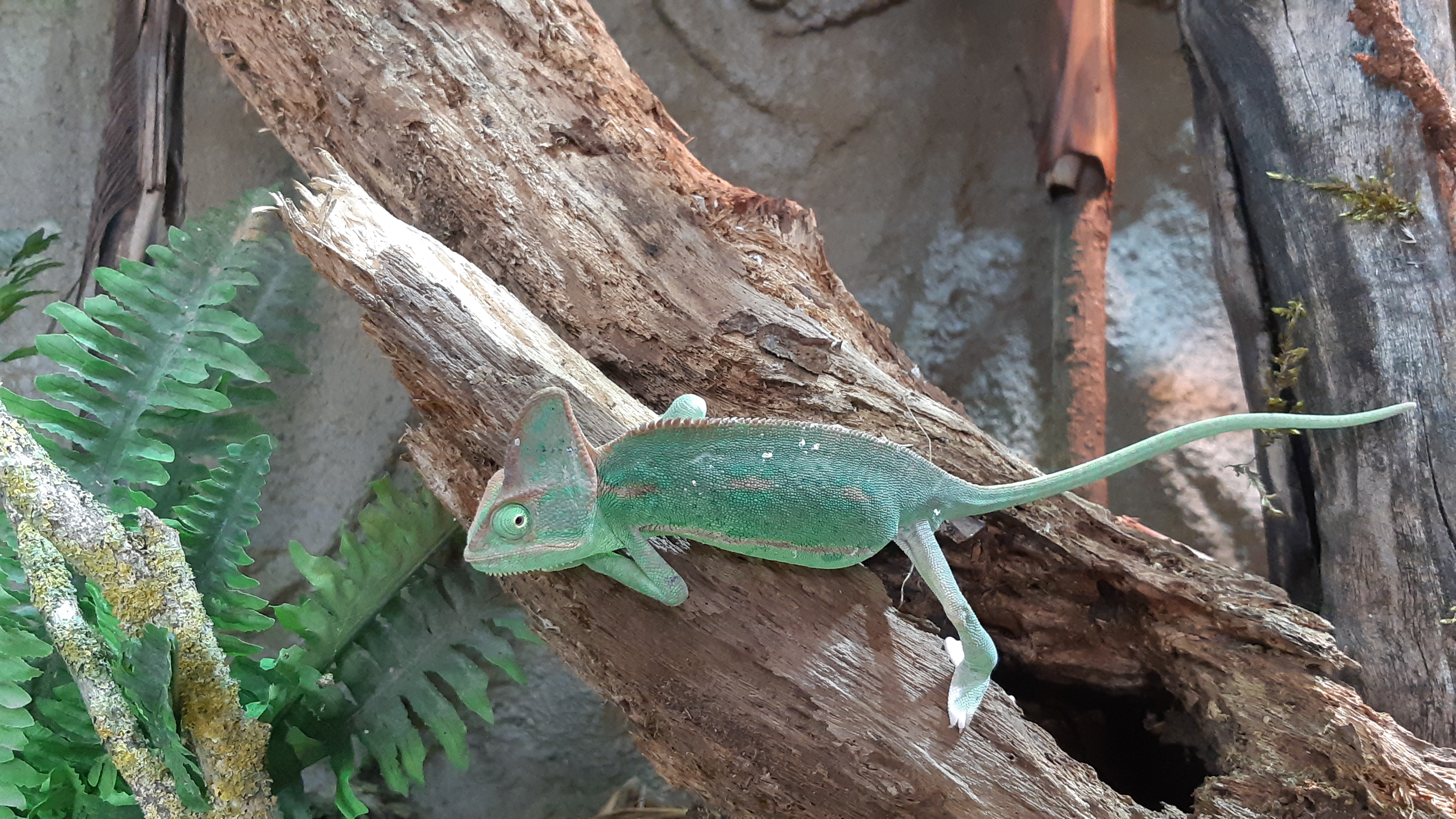 Photo n° 2 de l'avis de Carole.o fait le 25/07/2020 à 16:42