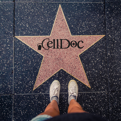 Phone Repair Service «Cell Doc - Woodbridge Center Phone Repair», reviews and photos, 250 Woodbridge Center Dr, Woodbridge, NJ 07095, USA