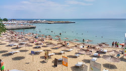Foto di Plyazh Tiliya con baia lunga