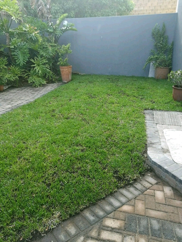 Garden Concept Lawn and Landscaping