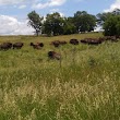 Midewin National Tallgrass Prairie