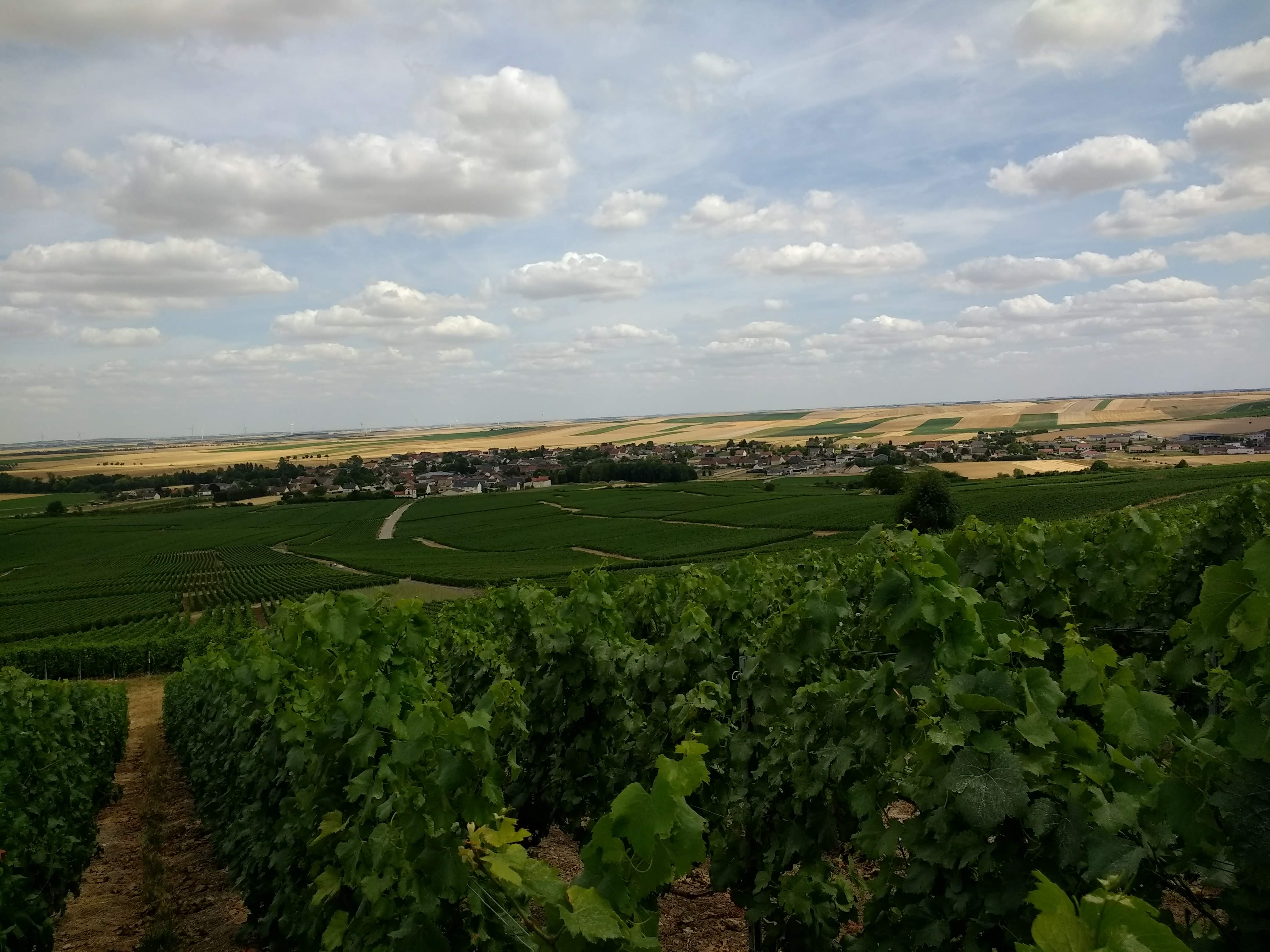 Photo n° 5 de l'avis de philippe.e fait le 21/07/2019 à 18:37